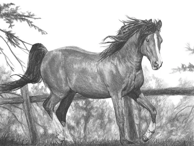 Как нарисовать лошадь акварелью. Видеоурок Анны Ивановой /enterclass.com