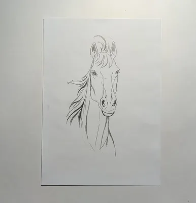 001 Как рисовать лошадь. Алексей Епишин — zaholstom.ru