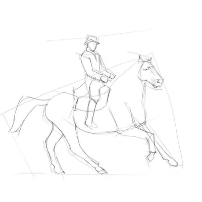 Как нарисовать голову и морду лошади карандашом поэтапно — 2 рисунка для  начинающих