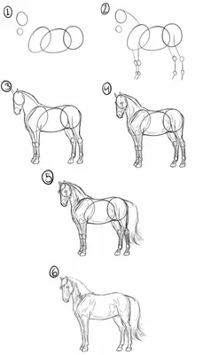 Как нарисовать лошадь | Пикабу