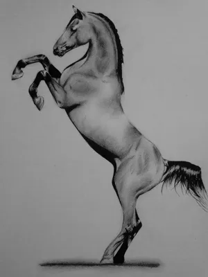 Как нарисовать лошадь гуашью - YouTube