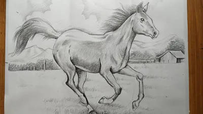 Рисуем лошадей - купить книгу с доставкой в интернет-магазине  «Читай-город». ISBN: 978-5-17-107618-4