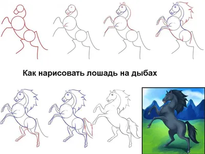 Нарисовать голову лошади | Творчество - это жизнь!