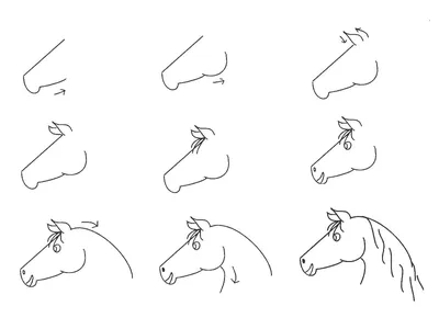 как нарисовать лошадь - Ravlyk
