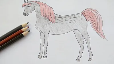 Как нарисовать лошадь | Статьи ПроКурсы