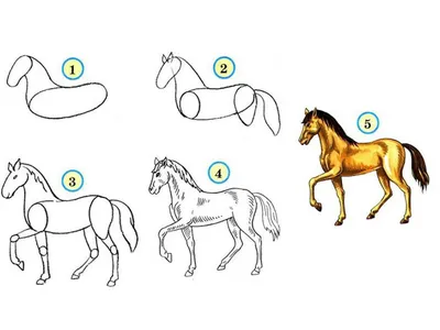 Как нарисовать лошадь, урок для начинающих художников | podelki-iz.ru | Дзен