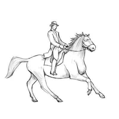 Поэтапное рисование морды лошади - 49 фото