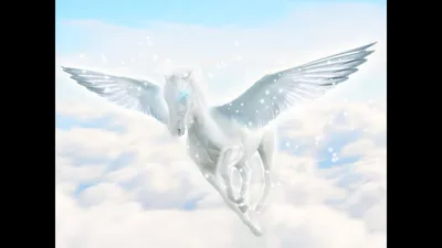 Девушка на лошади с белыми крыльями ангела на лошади Стоковое Изображение -  изображение насчитывающей рай, портрет: 209119387