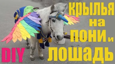 Пегас Лошадь с крыльями Уроки фотошопа - YouTube