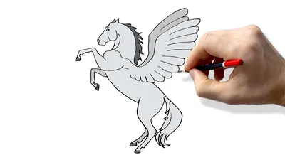Наклейка на авто Единорог пегас лошадь конь с крыльями силуэт - купить по  выгодным ценам в интернет-магазине OZON (709310417)