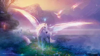 Белая лошадь с крыльями - Обои на рабочий стол — скачай бесплатно