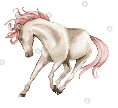 Наклейка на авто Пегас символ лошадь конь с крыльями вектор животное -  купить по выгодным ценам в интернет-магазине OZON (715641539)
