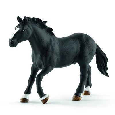 Лошади Липпицианской породы sch13738 от Schleich за 1 236 руб. Купить в  официальном магазине Schleich