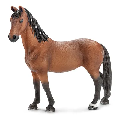 Набор Schleich Наездница с чёрной лошадью 42358 от Schleich за 1 265 руб.  Купить на Kidkong.ru скидка 31%