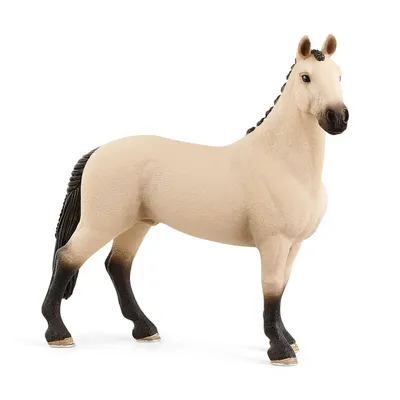 Фигурка Schleich Хафлингер Кобыла, Шляйх 13950, Horse Club - купить с  доставкой по выгодным ценам в интернет-магазине OZON (970175240)