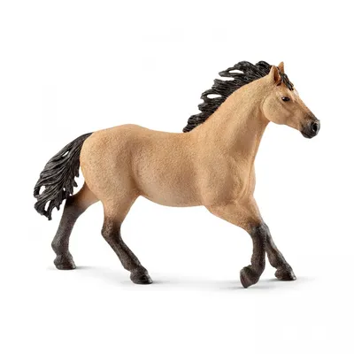Фигурка Schleich Четвертьмильная лошадь, жеребец 13853 от Schleich за 1 335  руб. Купить на Kidkong.ru