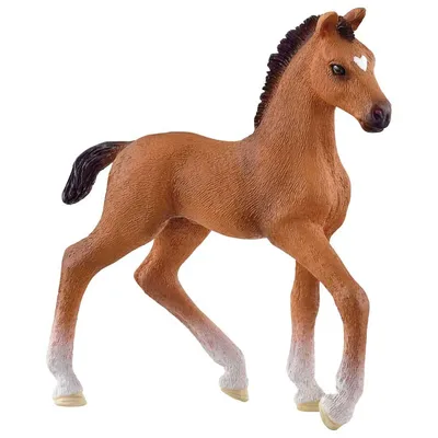 Лошади Арабской породы sch13762 от Schleich за 2 944 руб. Купить в  официальном магазине Schleich