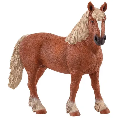Лошади породы Пинто sch13803 от Schleich за 2 354 руб. Купить в официальном  магазине Schleich