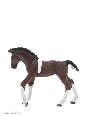 Фигурки Schleich Horse Club - Игровой набор Шляйх Семейный тренировочный  набор для лошадей Appaloosa 42433 - купить с доставкой по выгодным ценам в  интернет-магазине OZON (1290361903)