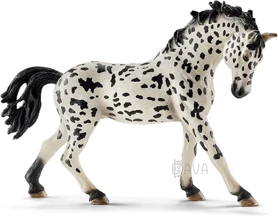 Фигурка Лошадь породы кнабструппер 13769, Schleich - Купить в Украине | БАВА