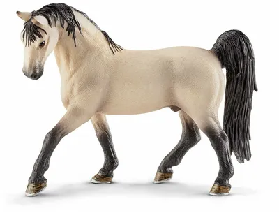 Фигурка Schleich Ахалтекинский жеребец | Konik.ru. Пожалуй, лучшие игрушки  в России