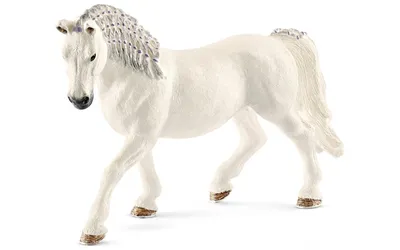 Schleich Лошадь теннесси уокер жеребец 13789 — купить в интернет-магазине  по низкой цене на Яндекс Маркете