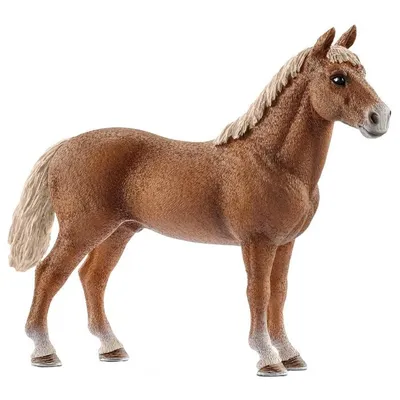 Schleich Фигурка лошадь Тракененская кобыла вороная, Horse Club, 13757 -  купить с доставкой по выгодным ценам в интернет-магазине OZON (726459645)