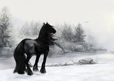 зима лошади стоковое изображение. изображение насчитывающей город - 18498141