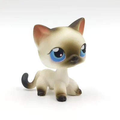 LPS кошка, настоящие животные, маленький зоомагазин, Бобл-голова игрушки  стоят #5, серая короткая шерстяная кошка, белая сиамская котенка с голубыми  глазами | AliExpress