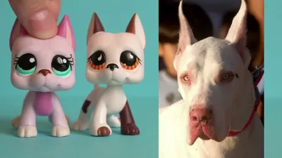 LPS CAT Original Littlest pet shop Bobble head toys собаки-такси #675 #640  #932 #325 колекція подарунків Фігурки тварин іграшки | Іграшкові тварини |  Індіго