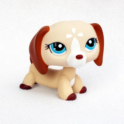 LPS CAT Littlest pet shop поплавок головы игрушки Редкие животные такса  1491 Милая Белая собака с голубыми глазами оригинальные игрушки для детей |  AliExpress