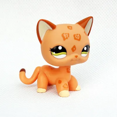 LPS CAT Littlest pet shop, игрушки с короткой шерстью, редкие животные,  стоячие кошки #1120, оранжевые пятнистые леопардовые гепардовые котенки |  AliExpress