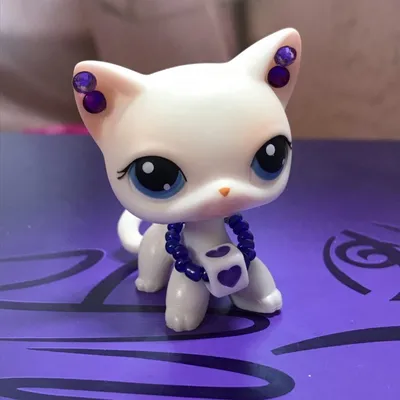 LPS CAT Littlest pet shop, женская короткая шерстяная кошка #1962,  оранжевая кошка с фиолетовым цветком, милые оригинальные игрушки с  бобальной головой | AliExpress