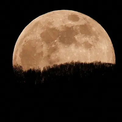 Луна невероятно приблизилась к Земле: такого не было с 1030 года - KP.RU