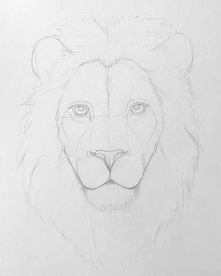 Контурные рисунок льва в профиль, …» — создано в Шедевруме