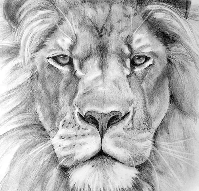 Рисунок льва с гривой, стоящего на белом фоне генеративный ии | Премиум Фото
