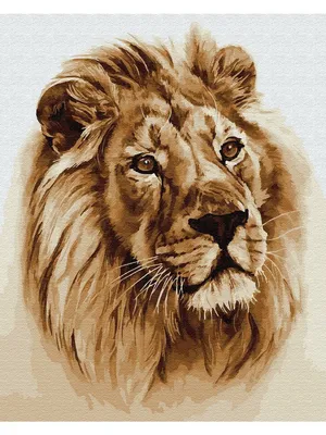 Голова льва рисунок для детей - 48 фото