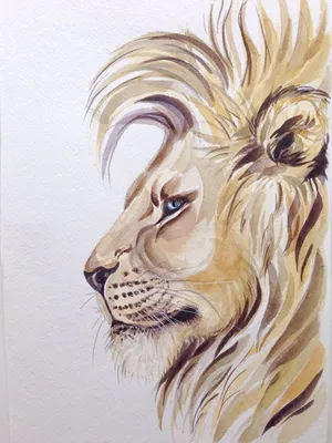 Как нарисовать льва. | Рисуй с Тимуром | Дзен
