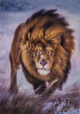 Портрет африканского льва | Пикабу