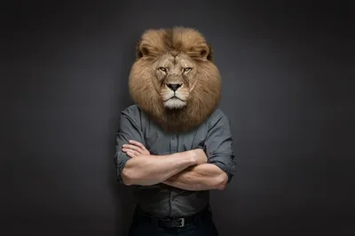 Купить картину Храбрый лев 3 из серии \"4 храбрых льва\" в Москве от  художника Торик Дилара