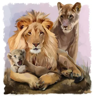 Львица и львенок рисунок - 75 фото