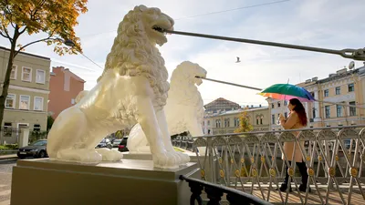 Почему в Санкт-Петербурге так много львов? - Узнай Россию