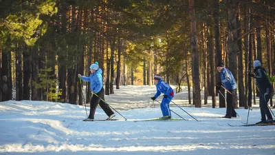 картинки : лес, снег, холодно, зима, люди, горнолыжный спорт, время года,  зимний вид спорта, виды спорта, круто, обувь, Лыжник, беговые лыжи,  Нордические лыжи, отдых на свежем воздухе 4928x2772 - - 940199 - красивые  картинки - PxHere