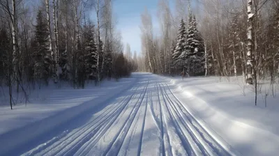 Пришла зима – вставай на лыжи! | Интернет-магазин Runlab
