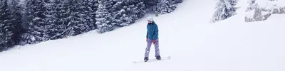 Зима лыжи лес (67 фото) »
