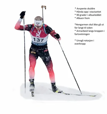 Сильнейшие лыжники России выйдут на старт «Гонки Легкова» в Подмосковье - В  регионе - РИАМО в Мытищах