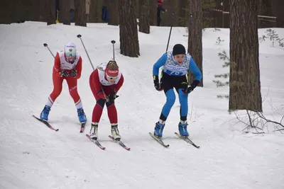 Пять лыжников ПГУ стартуют на юниорском чемпионате мира в Норвегии —  Пензенский государственный университет