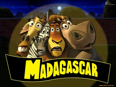 Обои Мадагаскар Мультфильмы Madagascar, обои для рабочего стола, фотографии  мадагаскар, мультфильмы, madagascar Обои для рабочего стола, скачать обои  картинки заставки на рабочий стол.