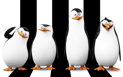 Обои на рабочий стол Четыре пингвина Мадагаскара / Penguins Madagaskar:  Рико / Rico, Шкипер / Skipper, Рядовой / Private и Ковальски / Kowalski, на  полосатом фоне, обои для рабочего стола, скачать обои, обои бесплатно