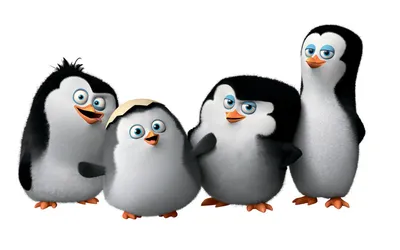 Обои на рабочий стол Четыре пингвина Мадагаскара / Penguins Madagaskar:  Рико / Rico, Шкипер / Skipper, Рядовой / Private и Ковальски / Kowalski,  когда они были еще птенцами, обои для рабочего стола, скачать обои, обои  бесплатно